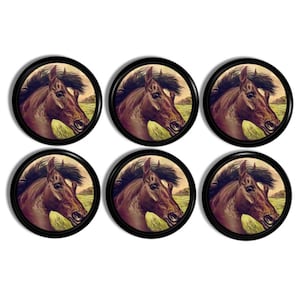 Braune Schranktürgriffe, Schubladenknauf, rustikale Möbelbeschläge, rustikale rustikale Beschläge 1214OO R2