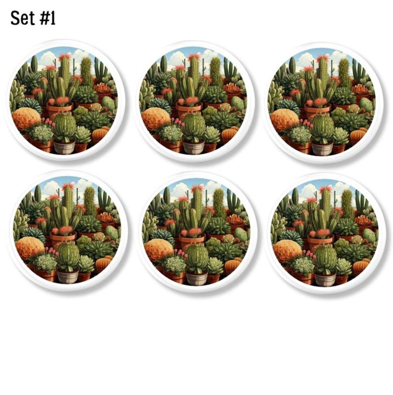 May include: Set of six white, round coasters featuring a detailed illustration of a desert cactus garden. The artwork includes various cacti, succulents, and orange-brown plants under a blue sky. The text "Set #1" is in the upper left corner.