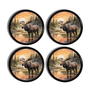 May include: Set of four round coasters featuring a moose standing in a lake with a sunset backdrop. The moose is brown with large antlers. The background includes trees and a setting sun, all within a black border.
