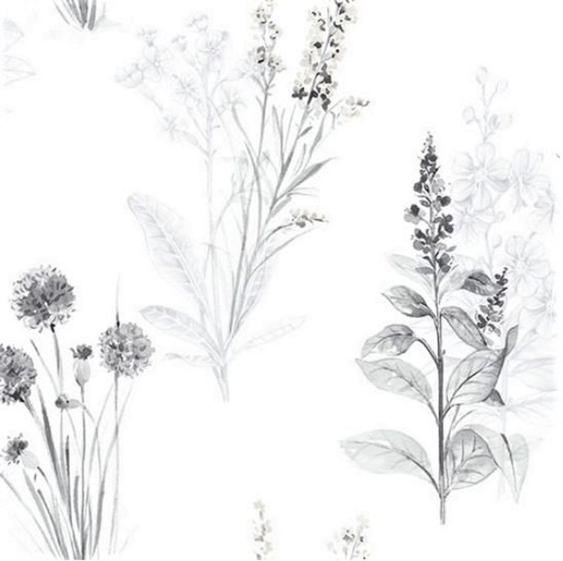 Plant Nature Wildflower Black AB42443so Modern Floral White and Gray Contemporary Botanical Toile Wallpaper Sold By The Yard
