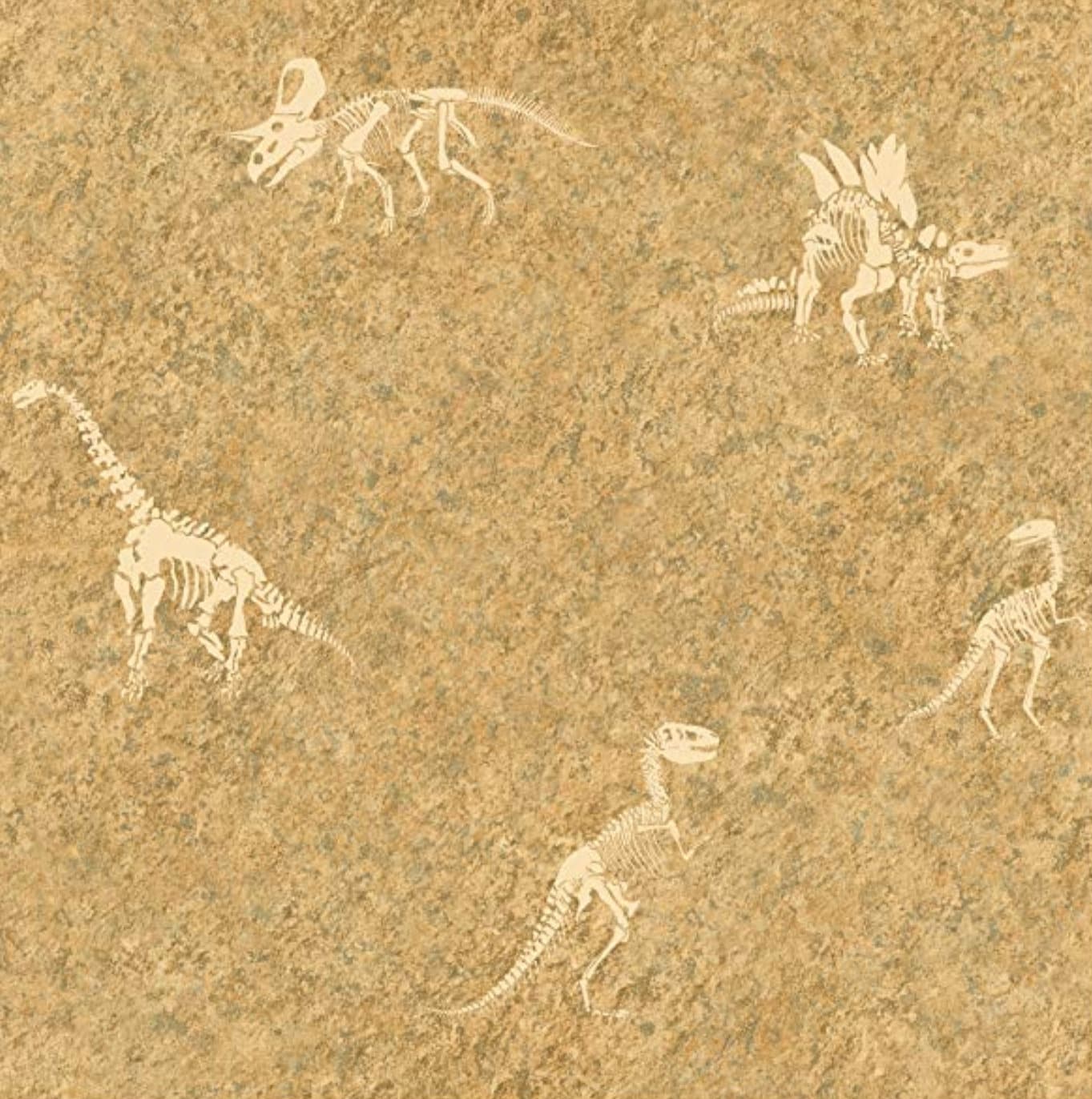 Dinosaur Bones Fossil Wallpaper Prehistoric Childrens Room, Jurasic