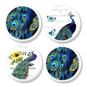 Peut inclure: Ensemble de quatre dessous de verre ronds. Deux présentent des motifs de plumes de paon bleues et turquoise. Les deux autres ont des illustrations de paons avec des papillons et du texte. Fond blanc.
