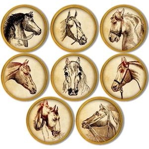 May include: A collection of seven circular images featuring detailed pen and ink drawings of horse heads. Each image has a gold border and a vintage aesthetic, showcasing different breeds and angles of the horses.