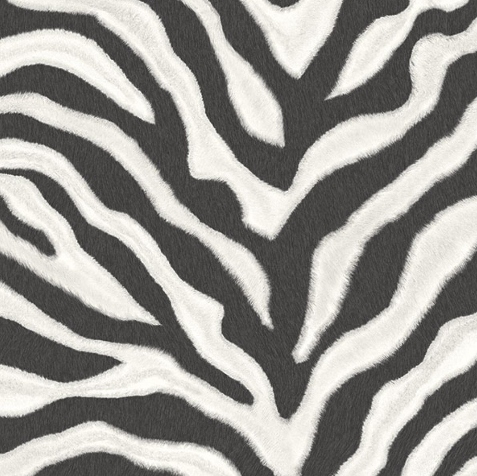Black White Zebra Stripe Wallpaper Exotic Safari Bedroom Etsy