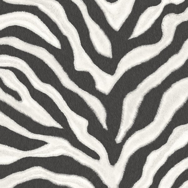 Black White Zebra Stripe Wallpaper, Exotic Safari Bedroom, Faux Fur Texture Animal Skin, Teen Girl Jungle Bathroom - By The Yard G67491