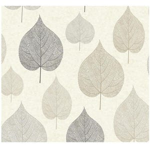 Neutrale skandinavische botanische Tapete, strukturierte Tapete, Baumblatt, zeitgenössisch, botanisches, modernes Skandi - 30x9 cm Muster M1070so