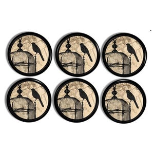 Vintage Birdcage Cabinet Knobs • Silhouette Drawer Pulls • Ornate Romantic Hardware • French Cottage Decor • Set of 4 or 6 • 1214PICY .