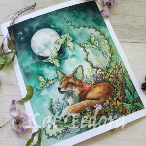 Among Friends, 8x10 inches, print