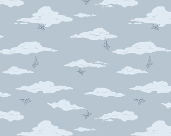 Fabric - Cretaceous- Pterodactyl Clouds Dusk - Baby Fabric - Dinosaur Fabric -Dino Fabric - Fabric - Riley Blake Fabrics - Dino Print Fabric