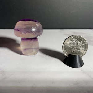 Fluorite Mushroom - 2” tall