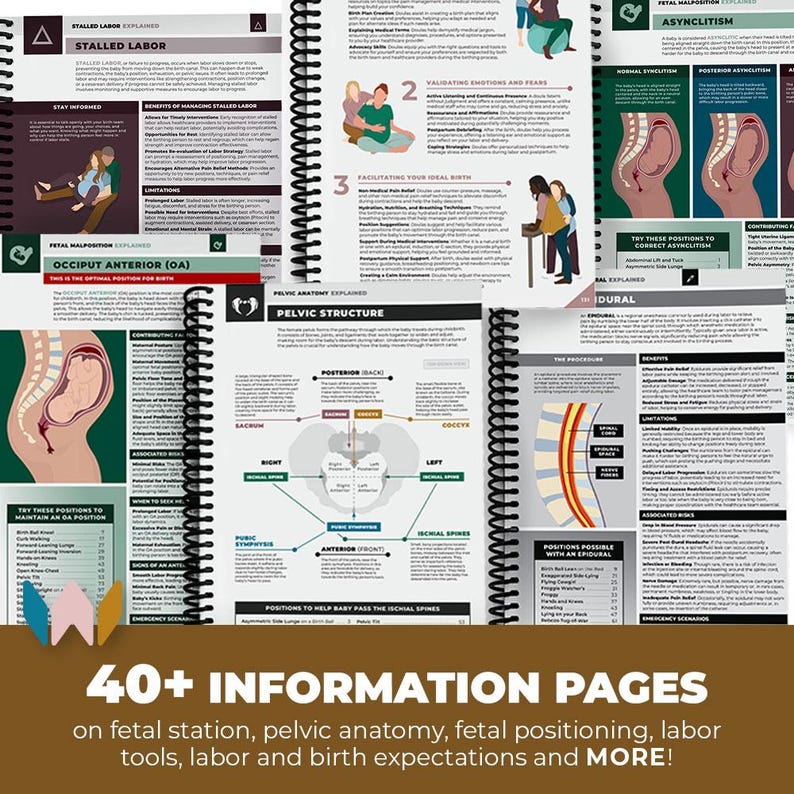A Doula’s Guide to Labor Positions | Birth Support Book for Pregnancy ...
