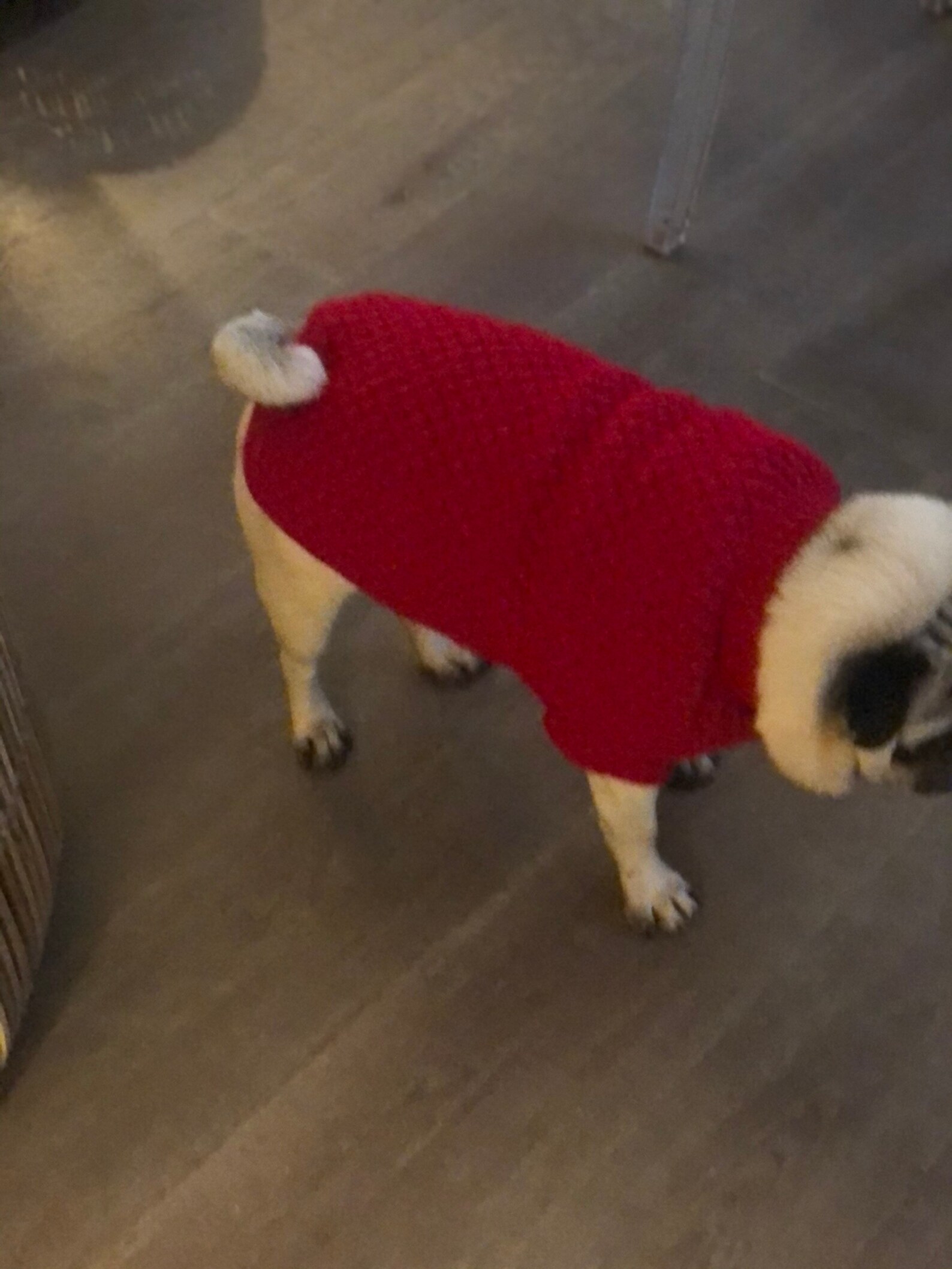 Knitted Dog Jumper/sweater pug Size Handmade Etsy