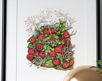 Partridgeberry Watercolor Art Print: Botanical Forest Decor