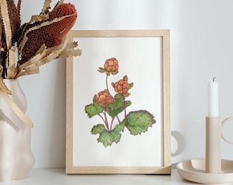 Bakeapple Print — Cloudberry, Berries, Nature, Watercolor Painting, Art Print, Botanical, Wall Art, Home decor, Fruit, Kitchen