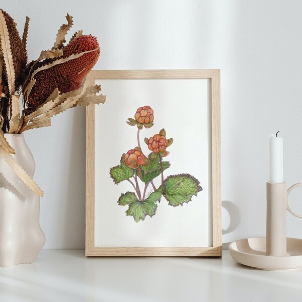 Bakeapple Print — Cloudberry, Berries, Nature, Watercolor Painting, Art Print, Botanical, Wall Art, Home decor, Fruit, Kitchen