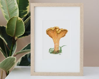 Chanterelle Print — Mushroom, Golden, Woodland, Nature, Watercolor Painting, Art Print, Botanical, Wall Art, 8x10 print