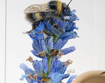 Bumblebee on Blue Flower Watercolor Art Print