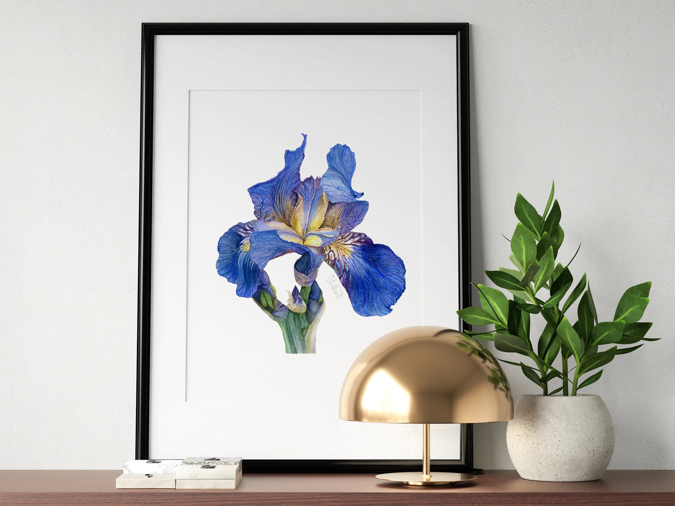 Blue Flag Iris Watercolor Painting Art Print Botanical | Etsy