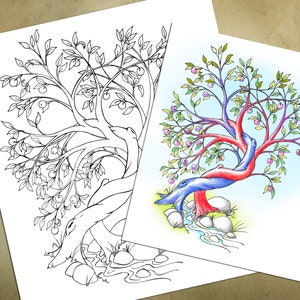 Puede incluir: Un dibujo en blanco y negro de un árbol con un arroyo que atraviesa las raíces. El mismo árbol se muestra en color con ramas rojas, azules y moradas.