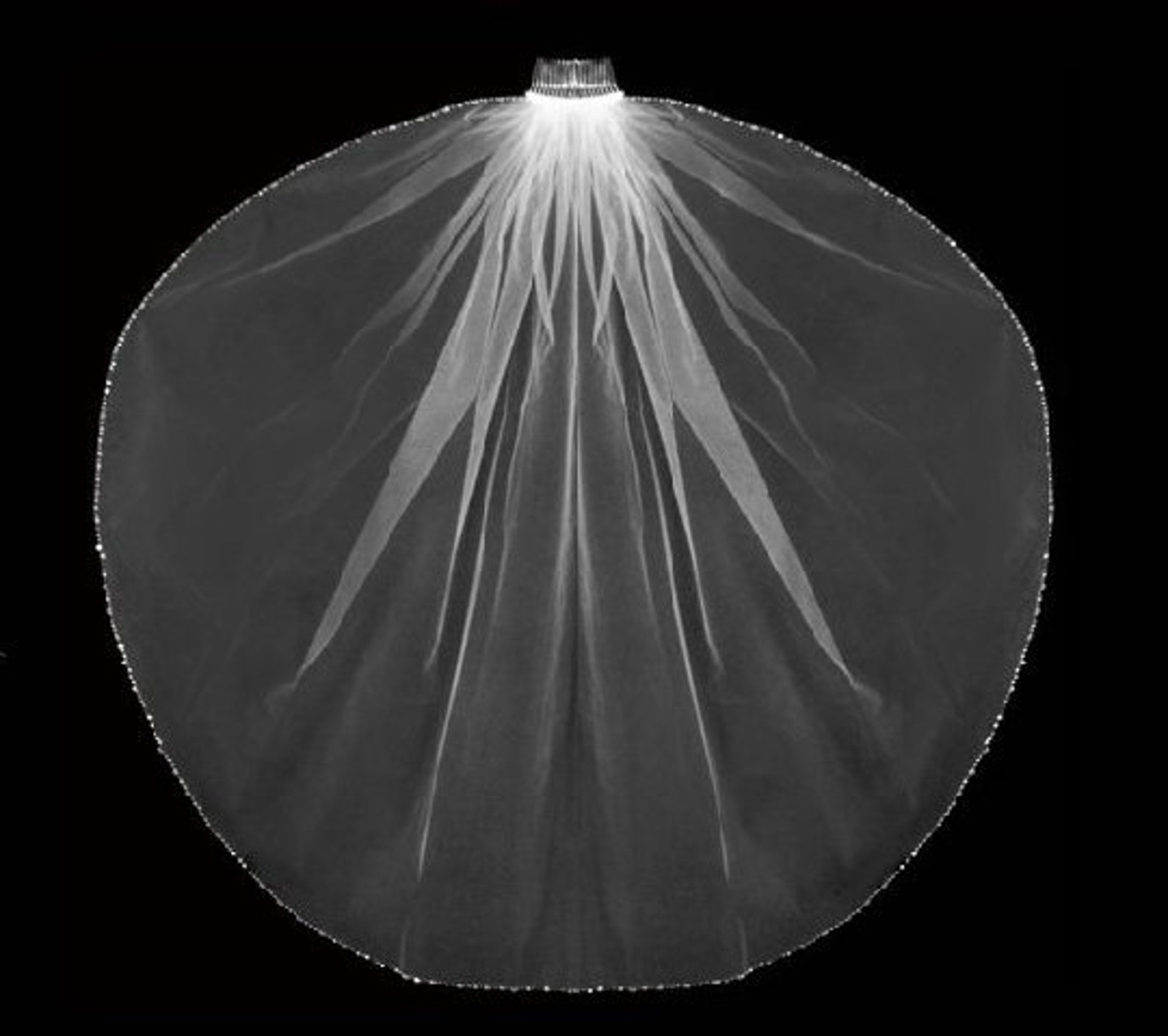 First Communion Veil With Beaded Edge of Crystals and Etsy