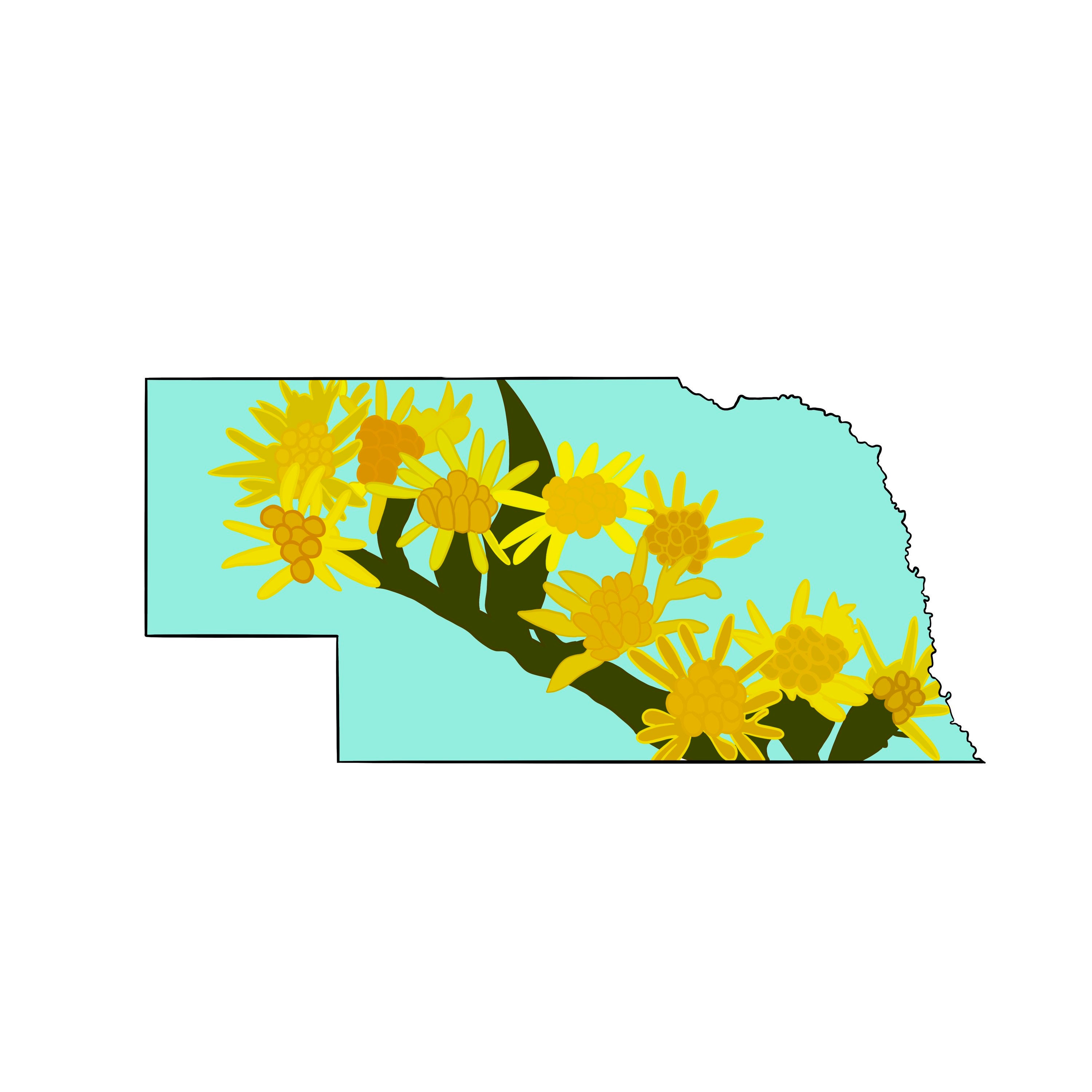 Waterproof Nebraska State Flower Sticker Waterproof Die Cut | Etsy