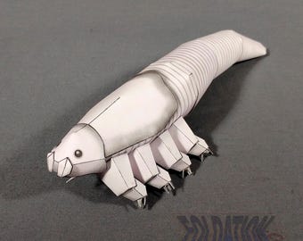 Demodex papercraft - face mite cardmodel -arachanid microbiota printable PDF kit