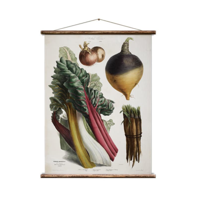 Album Vilmorin - Pull Down Wall Chart - Etsy
