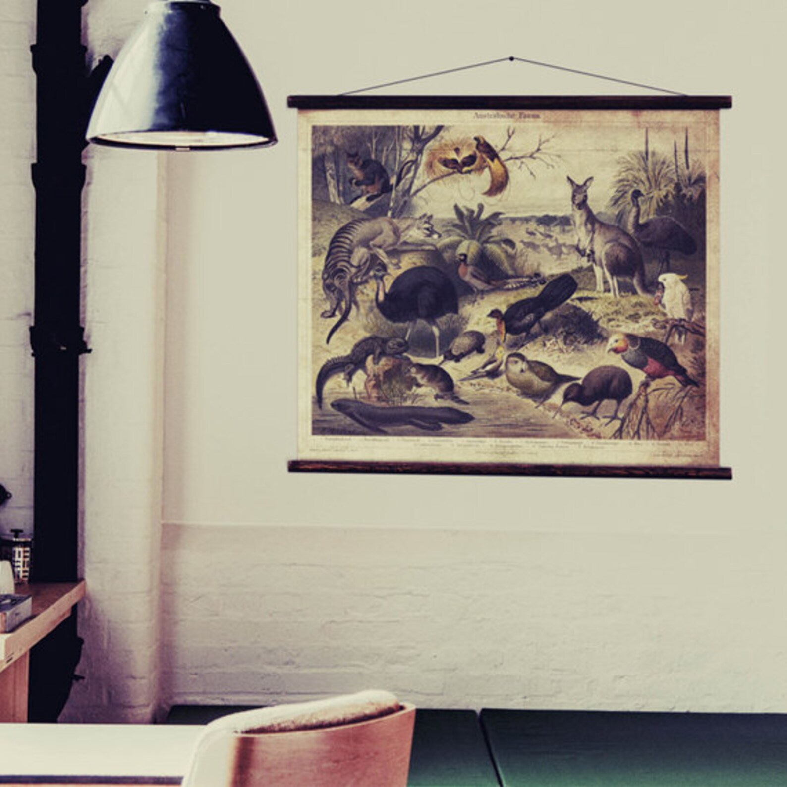Australische Fauna - Pull Down Wall Chart - Etsy