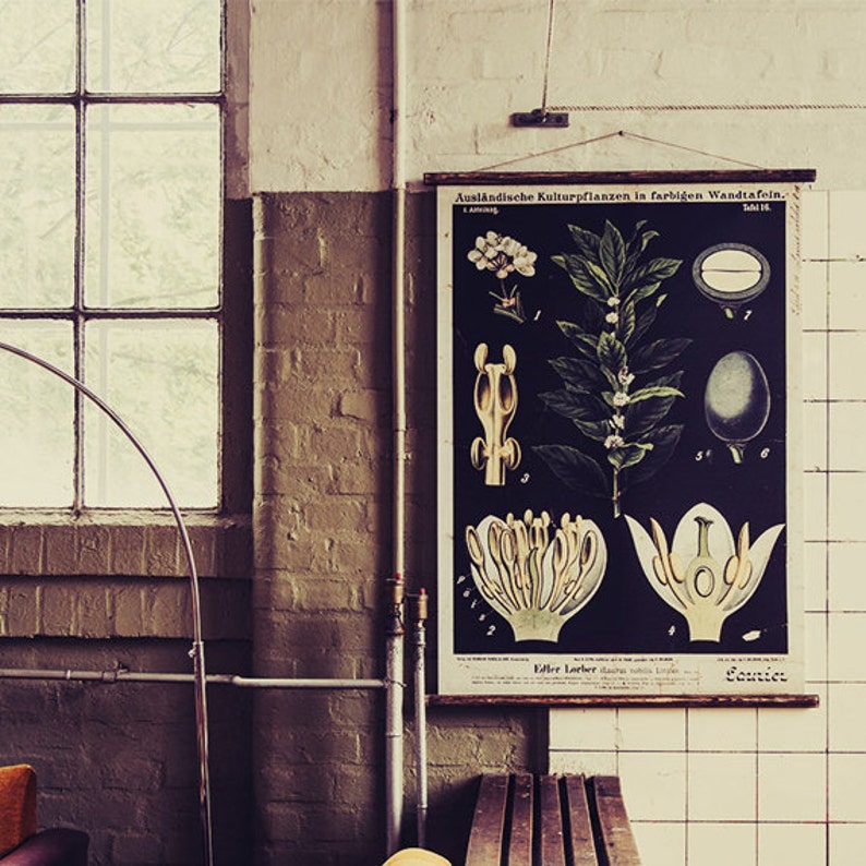 Edler Lorber - Pull Down Wall Chart - Etsy