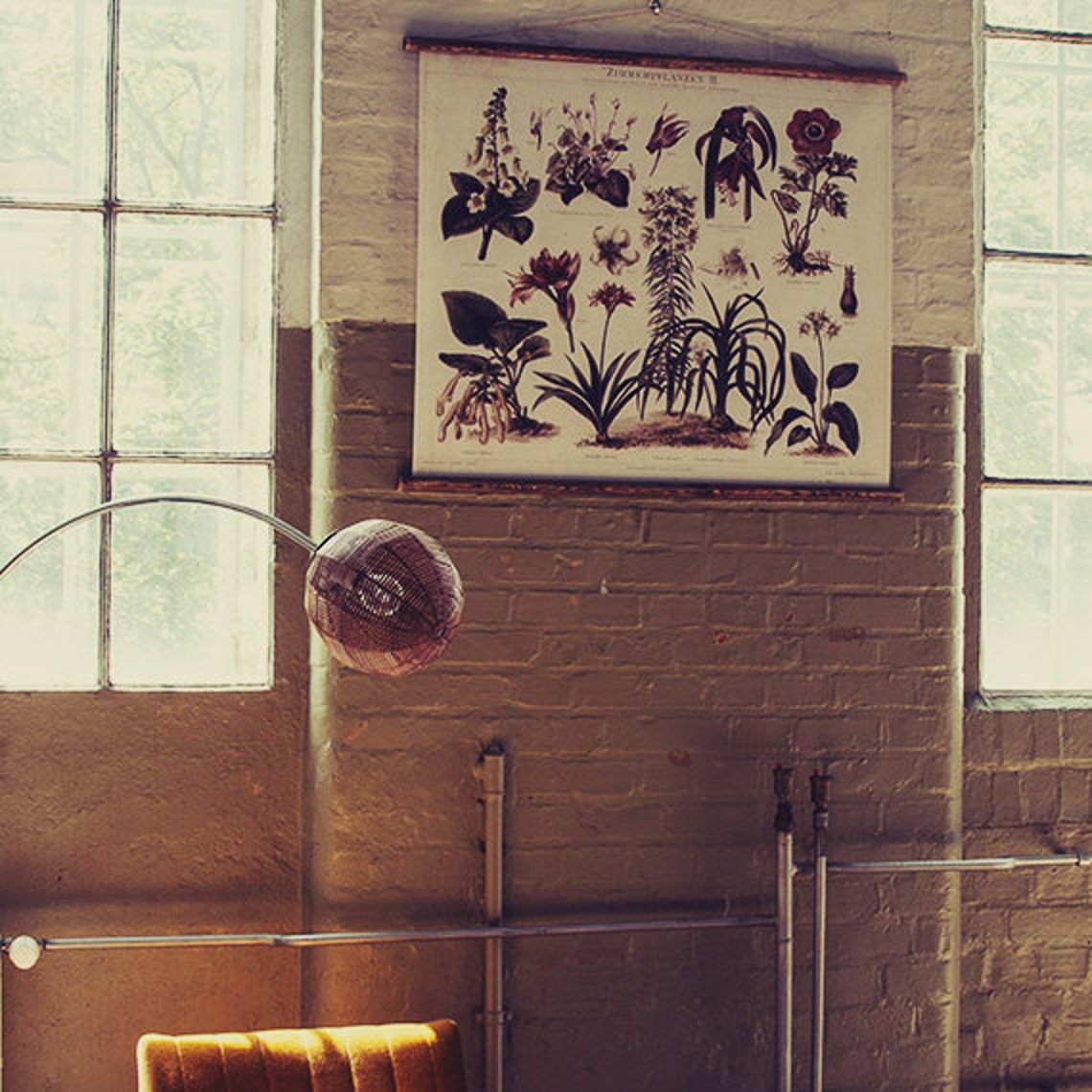 Zimmerpflanzen - Pull Down Wall Chart - Etsy