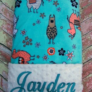 Personalized Minky Baby Boy Blanket, Personalized Baby Girl Blanket with Name, Personalized Baby Shower Gift
