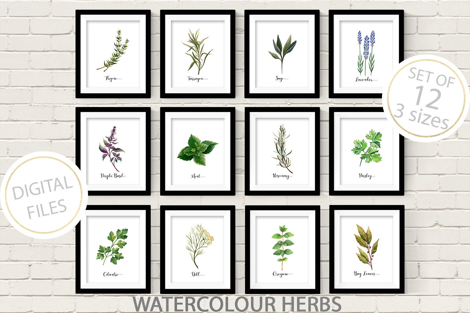 Herb Prints Set of 12 Botanical Print Kitchen Decor | Etsy