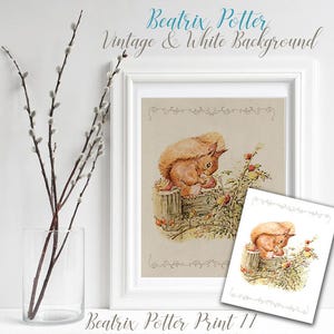 May include: A vintage illustration of a red squirrel sitting on a fence post, surrounded by green leaves and red berries. The illustration is framed in a white frame and has a white background. The text "Beatrix Potter Print 17" is printed below the image.