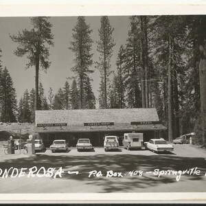 May include: A black and white vintage postcard showing The Ponderosa in Springville, California. The building features signs for a General Store, Coffee Shop, and Tavern, with several mid-century cars and a camper parked in front under tall pine trees.