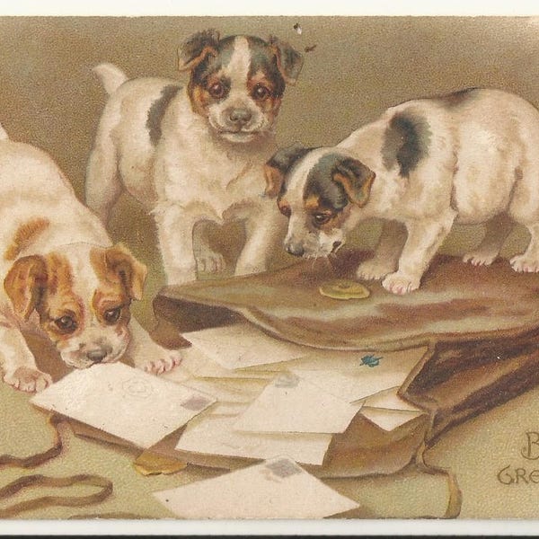 Early 1900s Undivided Back UDB Holiday Postcard- A Birthday Greetings, Puppies, Dogs, Mailbag ~ Free Shipping