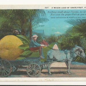 May include: A vintage postcard titled 327. A WAGON LOAD OF GRAPE-FRUIT, FLORIDA. It features a horse-drawn wagon carrying a giant yellow grapefruit with green leaves. A person sits on the wagon. Text reads: Nothing small about Florida, no siree! Not even the grape-fruit as you see. VERSE COPYRIGHTED BY ASHEVILLE POST CARD CO.
