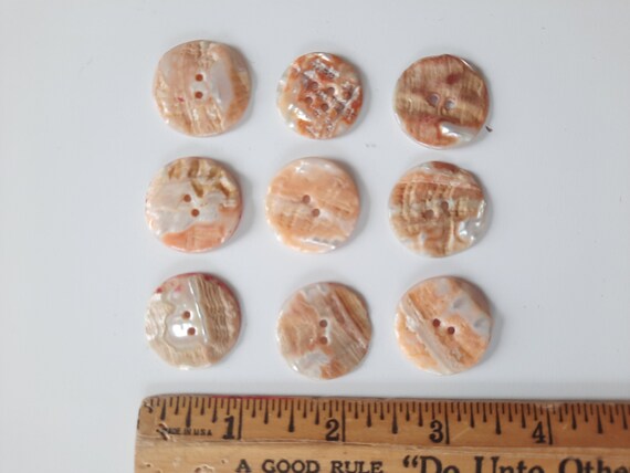 Antique Natural Shell Buttons Lot of (9): Large 1… - image 2