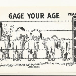 May include: Black and white cartoon postcard with the text "GAGE YOUR AGE". The image shows a series of cows lined up behind a barbed wire fence, with each cow's tail bent to indicate an age from 20 to 60 years. Card No. 53.