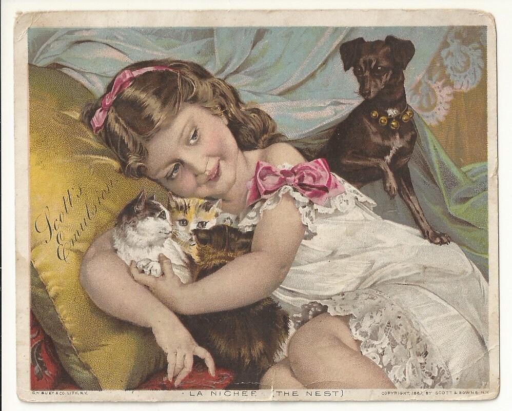1887 Victorian Trade Card Beautiful Young Girl With Kittens - Etsy