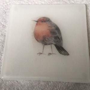 Robin coaster Fused glass coaster with robins