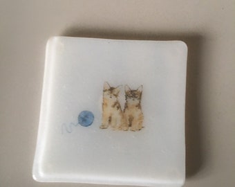 Cat coasters  glass coasters with different types of cats