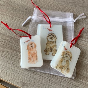 Christmas Cockapoos