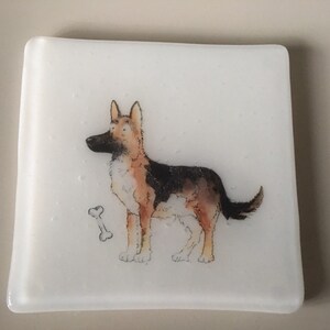 Dog coasters / fused glass tile with dogs Alsatian