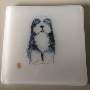 Dog coasters / fused glass tile with dogs sheepdog