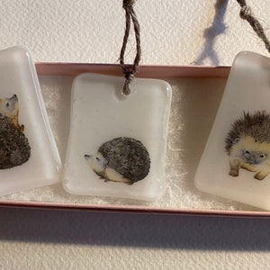 Fused Glass Hanging Hedgehogs