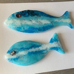 Glass Fish