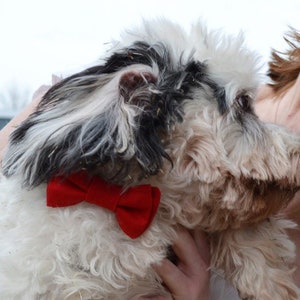 Small Red Pet Bow Tie: Holiday Dog Cat Collar Accessory