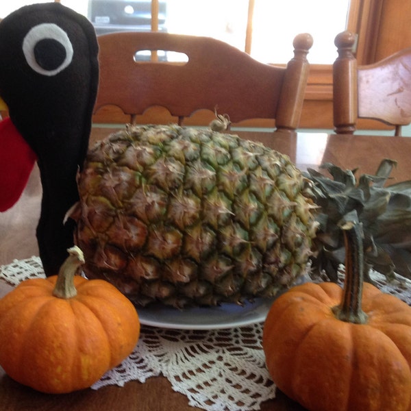 FELT TURKEY HEAD Pins Onto Pineapple, Turkey Centerpiece, You Choose Red Or Brown & How Many, Happy Turkey Head, Fall Center Piece