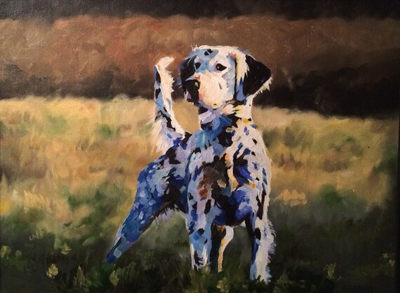 Blue Belton Setter UK