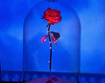 Beauty And The Beast Enchanted Rose Master Edition